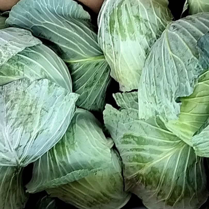 てっぱん酒場せかんどです